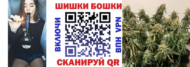 закладки  Горячий Ключ  Бошки Шишки сатива 